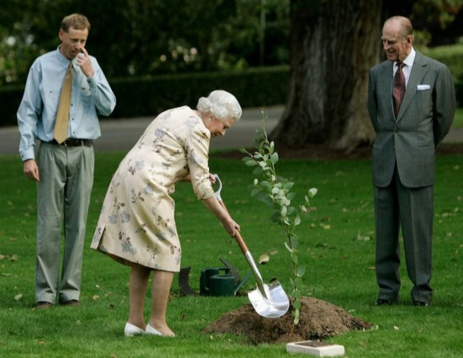 You do the gardening, too...